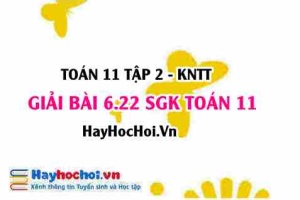Bài 6.22 SGK Toán 11 Tập 2 Kết nối tri thức